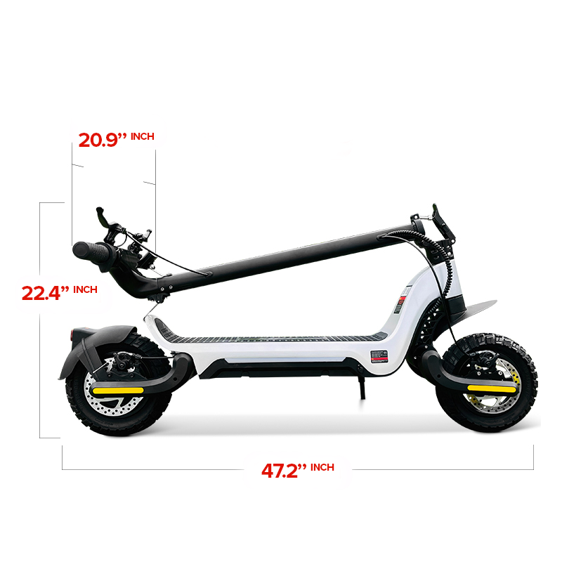 City Scooter DUAL